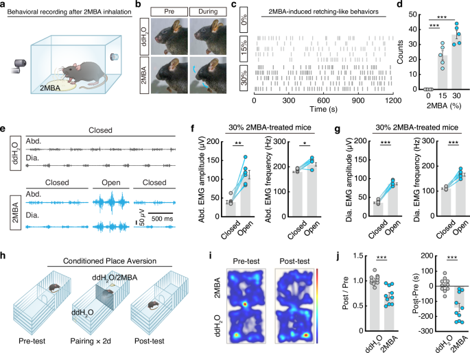 Fig. 1: 2MBA-triggered retching-like behavior and aversion in mice.
