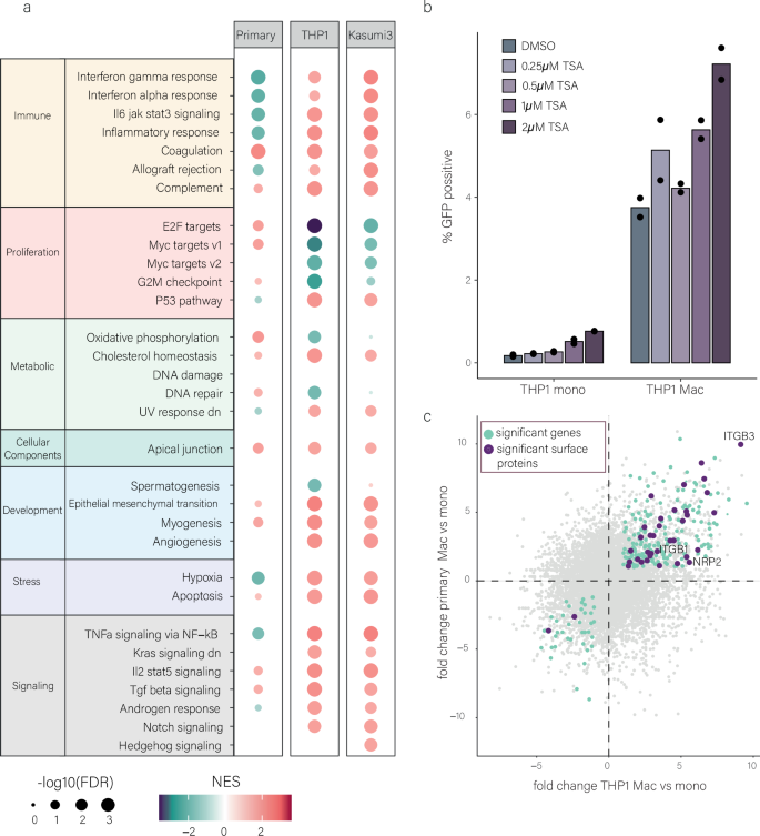 Fig. 2: Changes in gene expression upon differentiation.