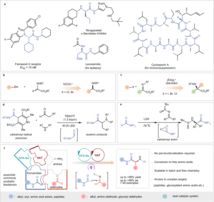 Fig. 1: Bioactive chiral amino acid derivatives and synthetic approaches.