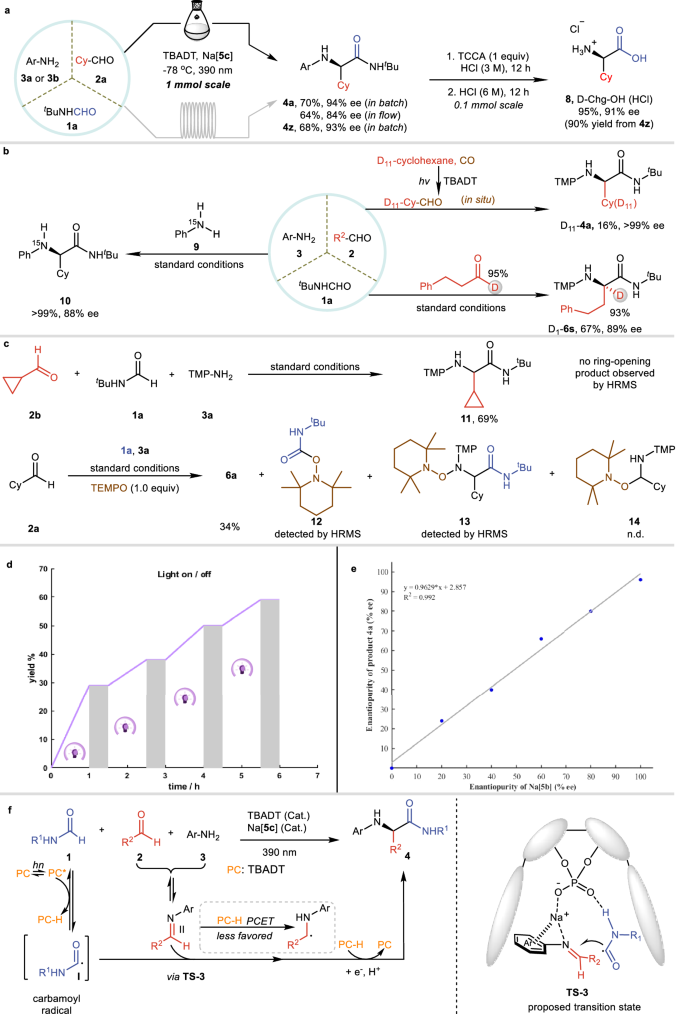 Fig. 5: The practical utility and mechanism studies of the reaction.