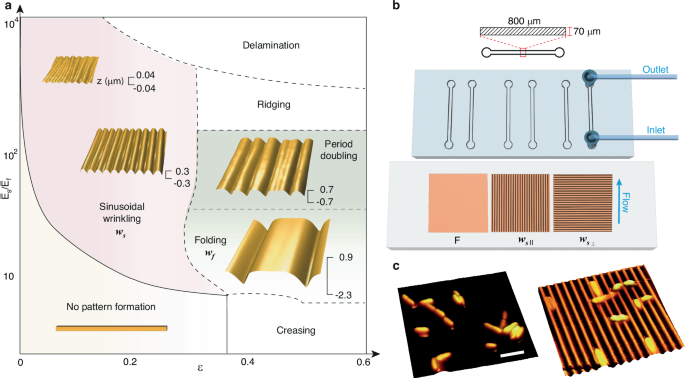Fig. 1: Tunable patterned surfaces are fabricated via spontaneous buckling and integrated into a microfluidic device.