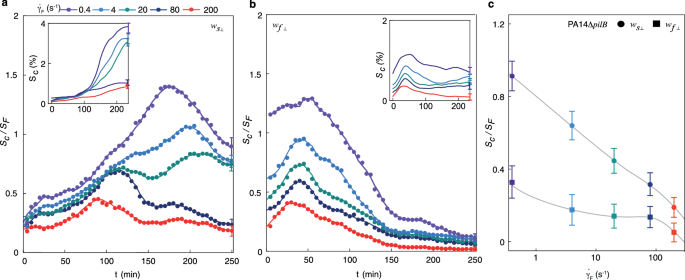 Fig. 6: Wrinkled and folded substrates reduce surface colonization of type IV pili-defective Pseudomonas aeruginosa PA14 under shear flow.