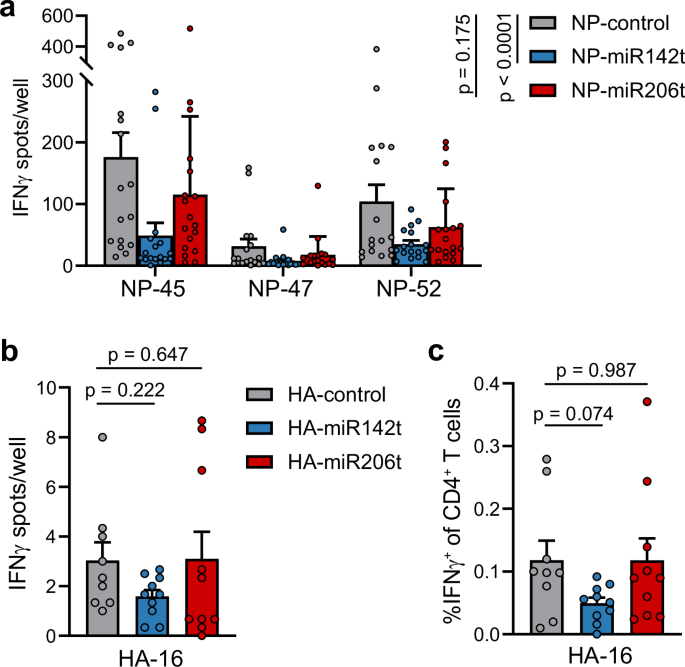 Fig. 3: Expression of mRNA-LNP vaccine antigen within hematopoietic cells is required for maximal activation of conventional IFNγ+ CD4+ T cells.