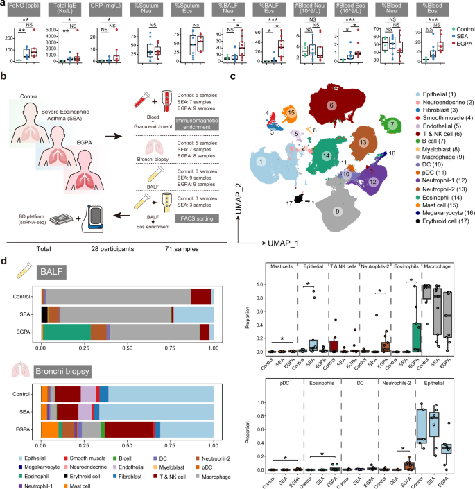 Fig. 1: Cohort characteristics and single cell RNA profiling of control and patients with SEA and EGPA.