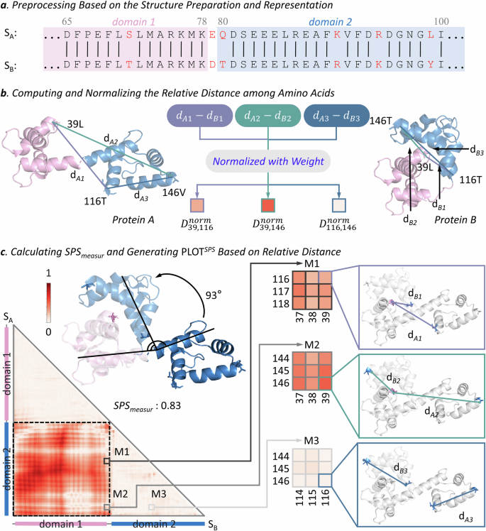 Fig. 2: The pipeline for assessing structural segment shifts by calculating relative distances among residues within protein pairs.