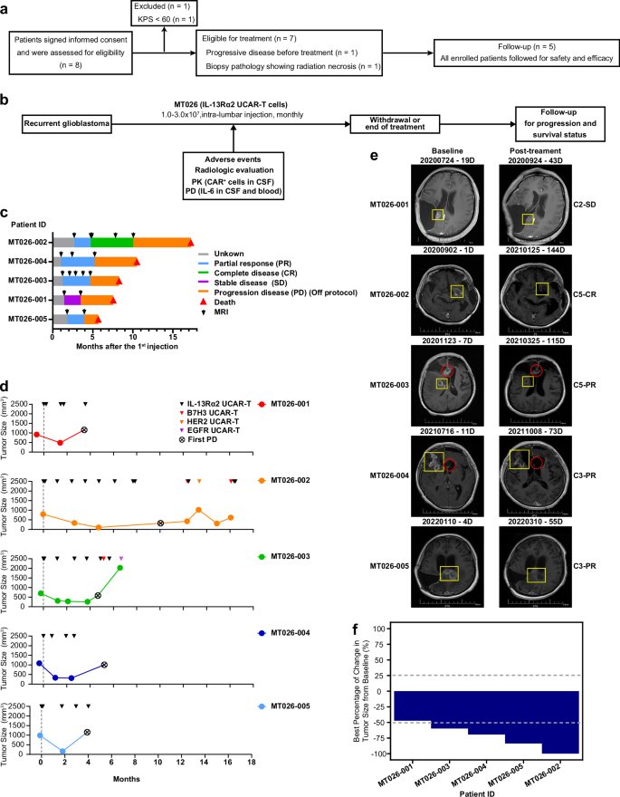 Fig. 4: Efficacy of MT026 Therapy.