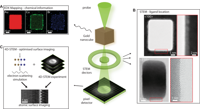 Fig. 1: Overview of STEM experiments in characterizing copper additives and CTAB surfactants on a gold nanocuboid surface.