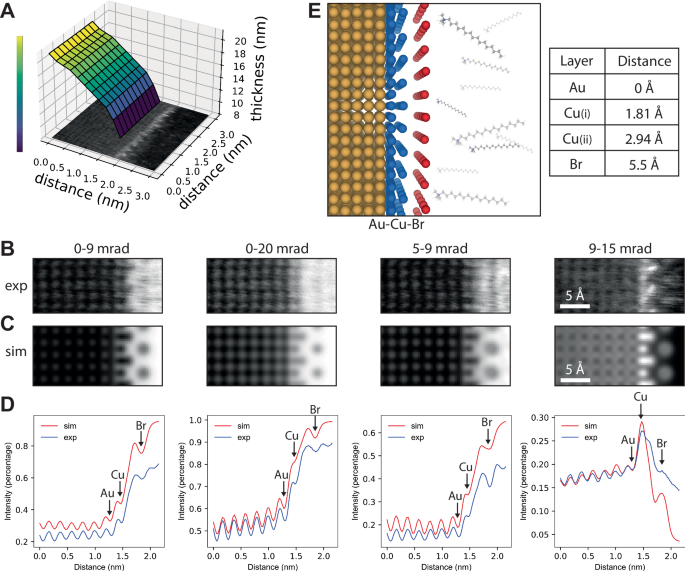 Fig. 4: Refinement of the gold nanocuboid surface model.