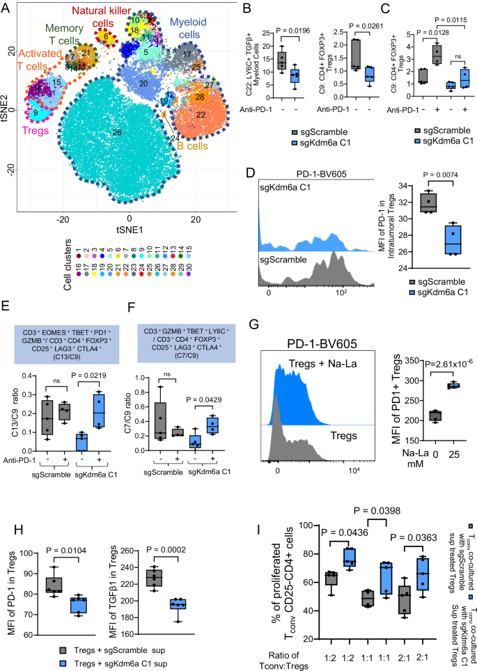 Fig. 5: Loss of KDM6A-mediated reduction in intratumoral lactate levels reduce Treg abundance and function.