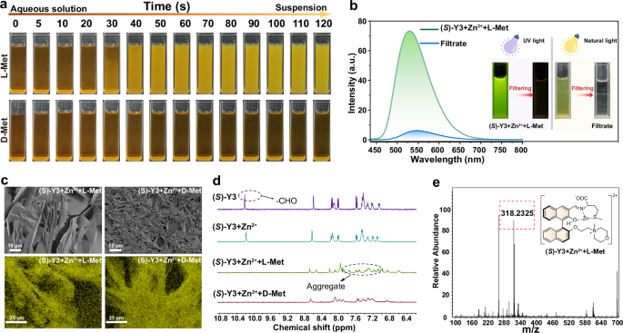 Fig. 3: Characterization for selective aggregation and chiral recognition.