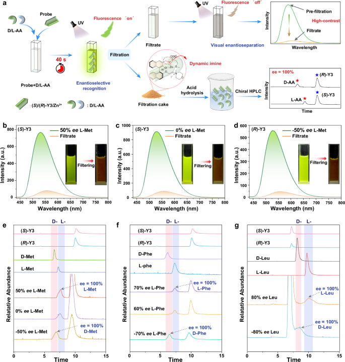 Fig. 6: Chiral separation analysis and fluorescence visualization.