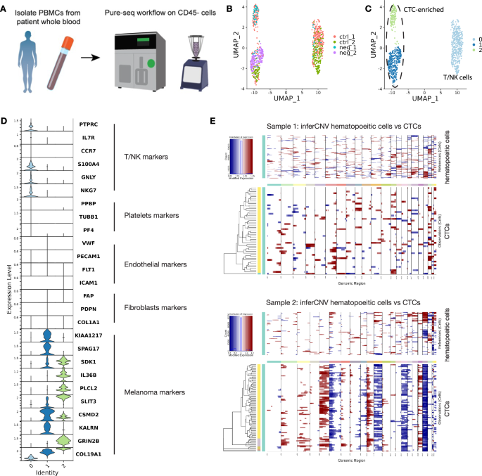 Fig. 2: PURE-seq profiles circulating tumor cell from melanoma patient blood samples.