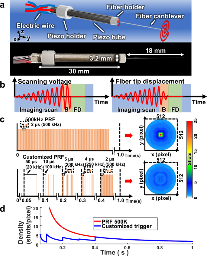 Fig. 2: Schematic and scanning protocol of the fiber scanner.