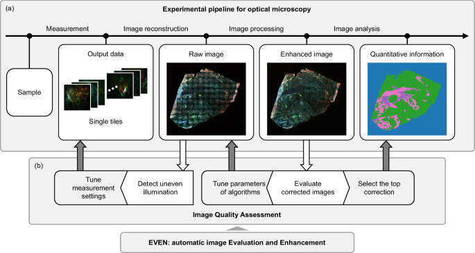 Fig. 1: Experimental pipeline for optical imaging of large samples in presence of uneven illumination.