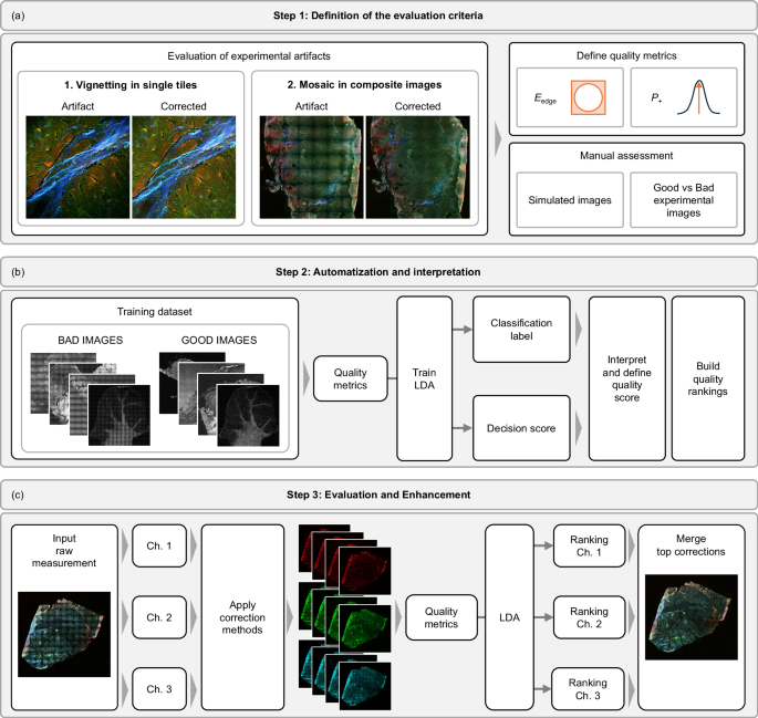 Fig. 2: Making uneven illumination EVEN: from the preliminary Evaluation of experimental artifacts to the automatic Enhancement of experimental images.