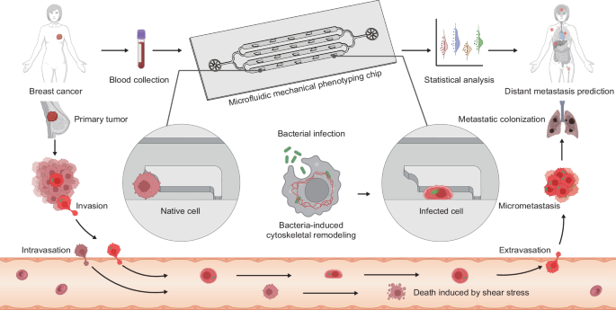 Fig. 1: Schematic overview of method.