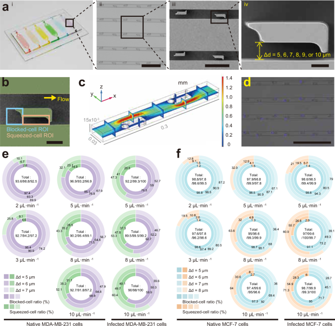 Fig. 3: Design, characterization, and optimization of the LesM chip.