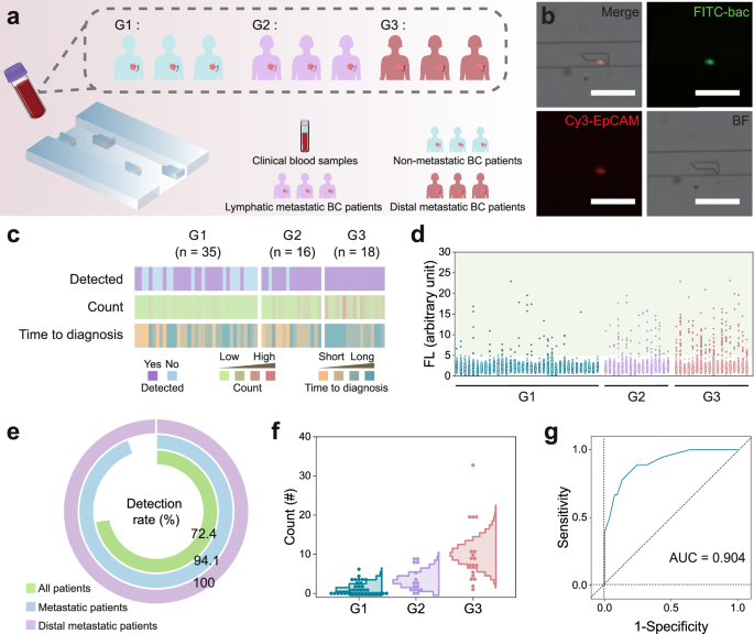 Fig. 8: On-chip analysis of clinical blood samples.