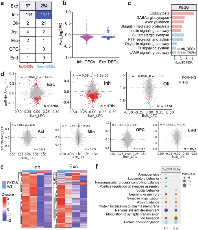 Fig. 3: Dysregulation of gene expression in FXTAS is concentrated in inhibitory neurons.