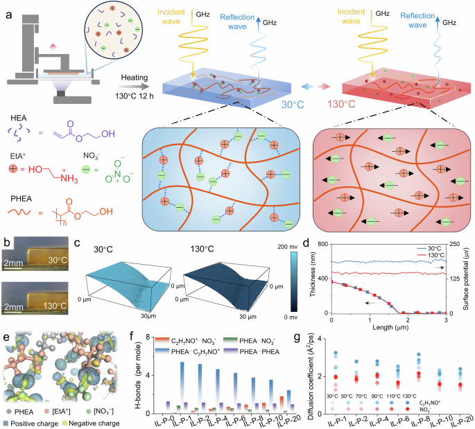 Fig. 1: The mechanism of electromagnetic regulation in IL-P.