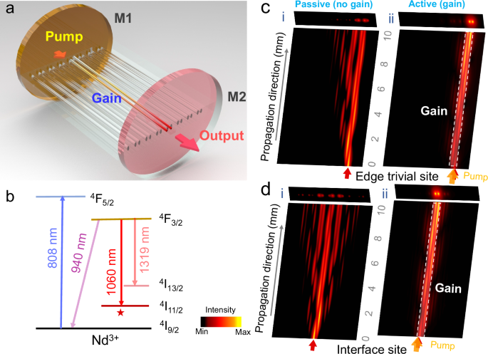 Fig. 1: Topological lasing in the presence of material gain.