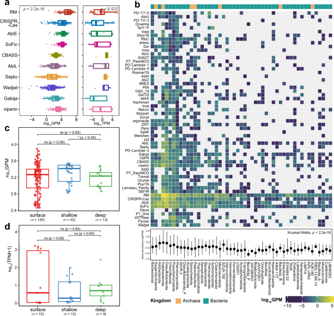 Fig. 5: Relative abundance and expression of microbial defense systems in cold seep sediments.