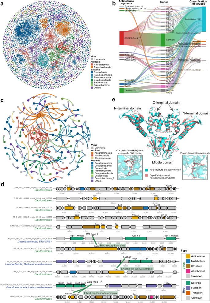 Fig. 6: Interactions between cold seep viral anti-defense systems and host defense systems.
