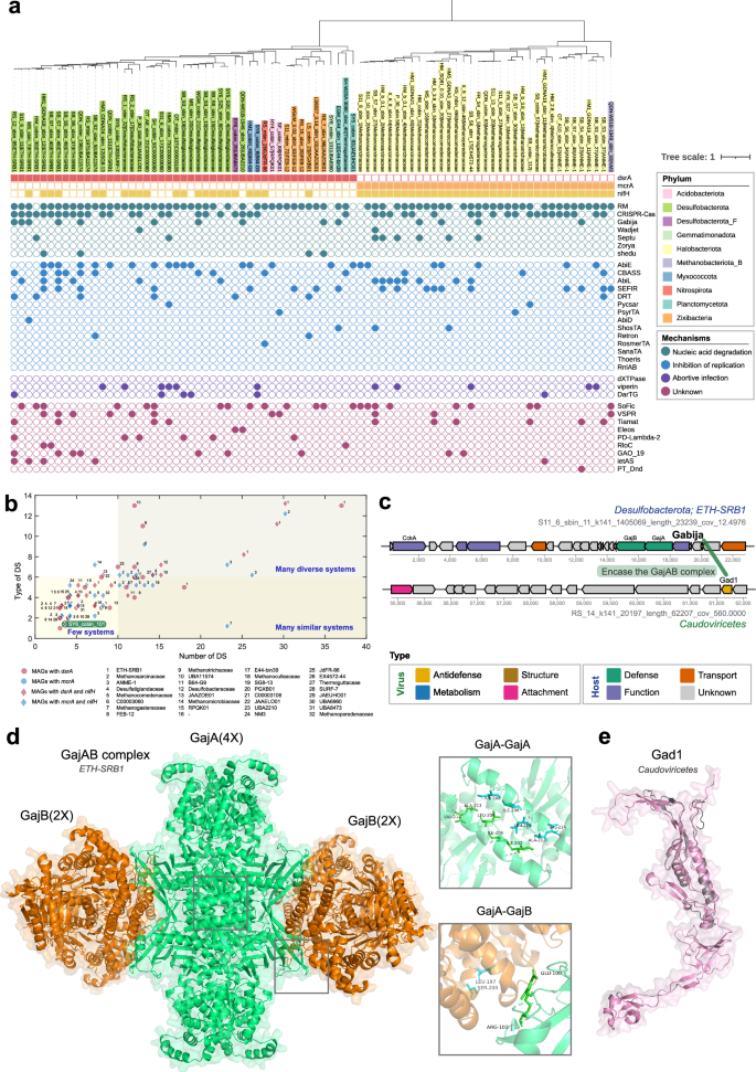 Fig. 7: Defense competition between key metabolic microbial groups in cold seeps and their viruses.