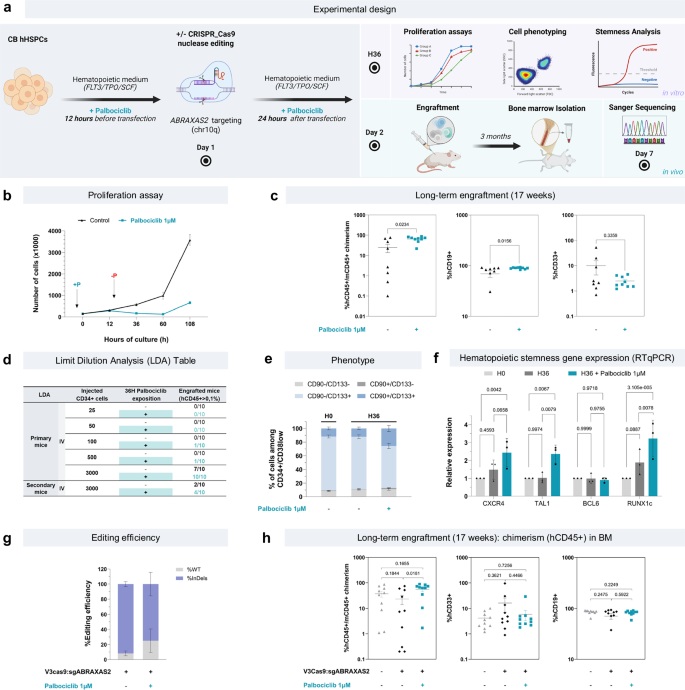 Fig. 6: Palbociclib effect on HSPCs phenotype and graft capability.