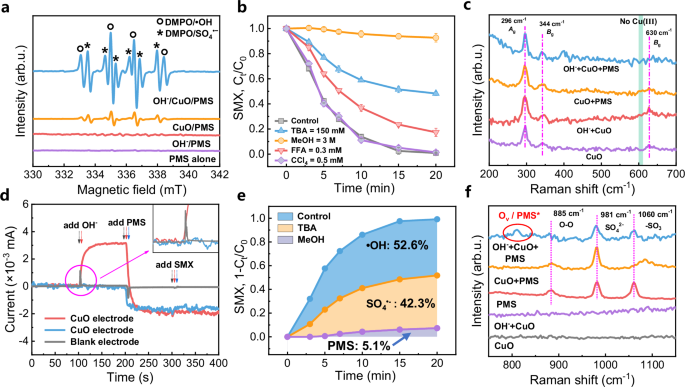 Fig. 3: Mechanistic investigation of reactive oxygen species (ROSs) generation and PMS activation pathways.