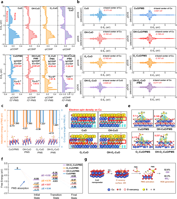 Fig. 4: Mechanistic insights based on DFT calculation into enhanced PMS activation via the synergy of oxygen vacancy (Ov) and surface hydroxy (OH).