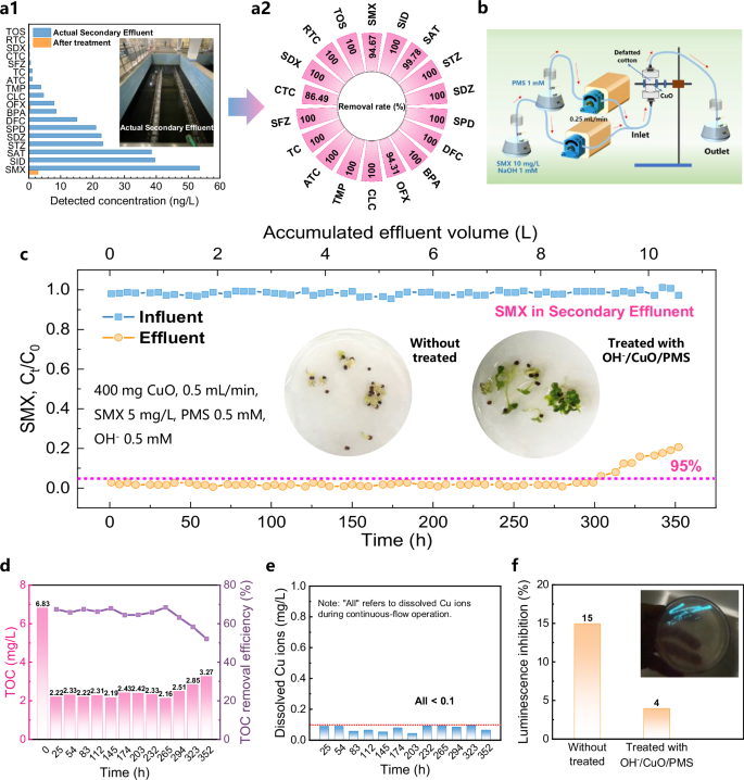 Fig. 5: Practical performance evaluation and environmental impact assessment of the OH−/CuO/PMS system.