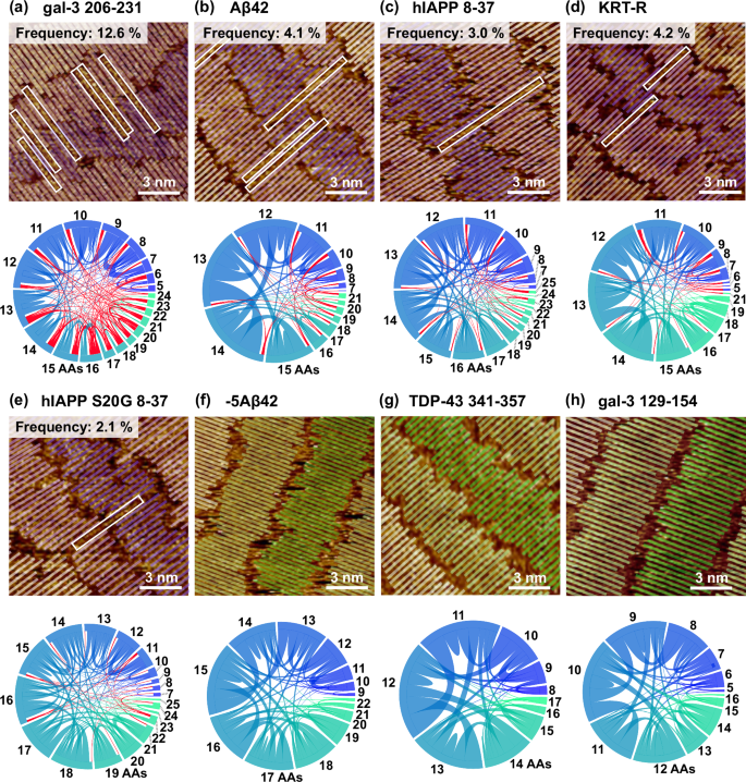 Fig. 3: Cross-β-strand linker exhibits both structural generality and selectivity.