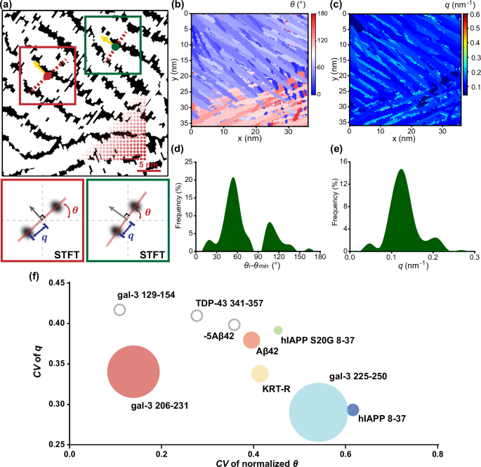 Fig. 4: STFT determines the directionality of β-sheet alignment and the reciprocal of the periodicity of β-sheets.