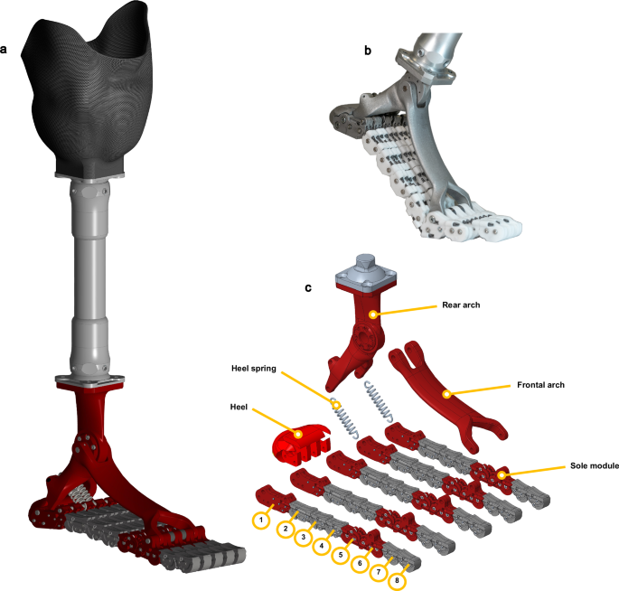 Fig. 2: The SoftFoot Pro.