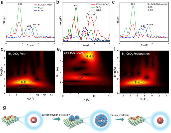 Fig. 5: The dynamic structural evolution of catalysts.