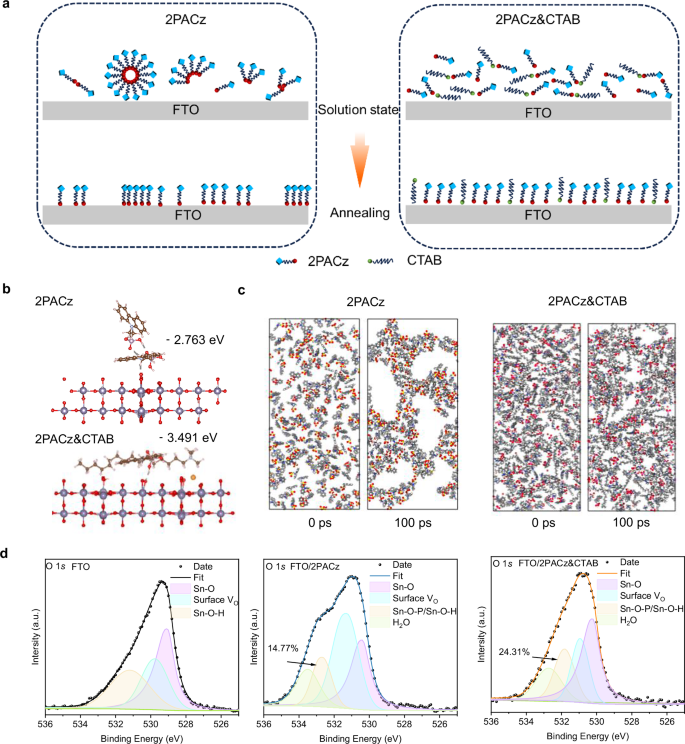 Fig. 1: Theoretical simulation and experimental characterization of molecules.