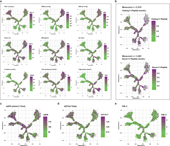 Fig. 2: Visualization of Clinical Characteristics Data of the Chinese Population with Type 2 diabetes on the Scottish Tree.