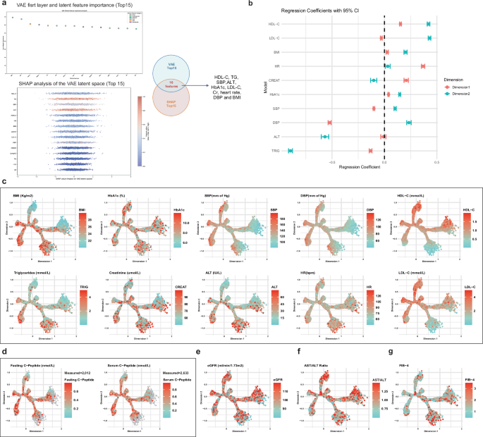 Fig. 4: Constructing a Chinese Tree Using Selected Features with the VAE Model.