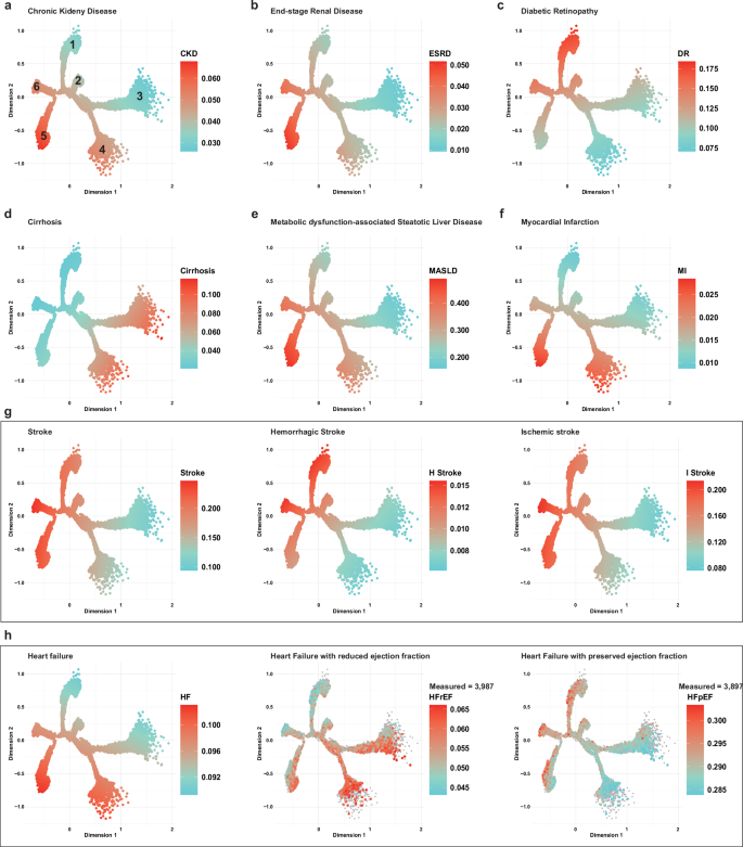 Fig. 5: Visualization of Complications Associated with Type 2 Diabetes in Chinese Tree.
