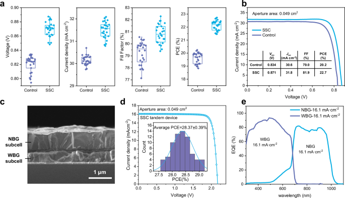 Fig. 3: PV performance of perovskite solar cells.