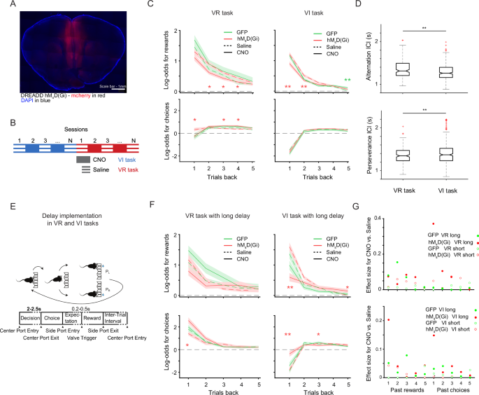 Fig. 5: mPFC inactivation results in behavioral effects that exhibit both task and temporal dependency.