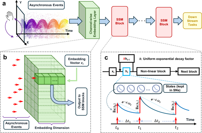 Fig. 1: Model architecture for the proposed event-driven State Space Model (SSM).