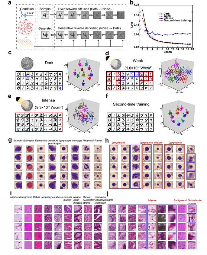Fig. 5: Multimodal tasks using the VLS PRC.