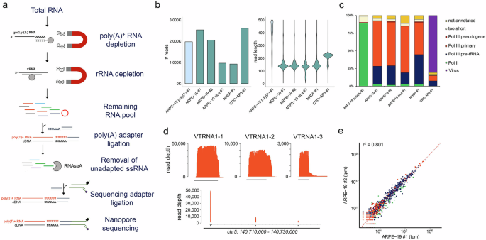 Fig. 1: DRAP3R efficiently captures poly(U) RNAs.