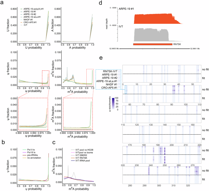 Fig. 4: Detection of Ψ and m6A and in pre-mature Pol III transcribed RNAs.