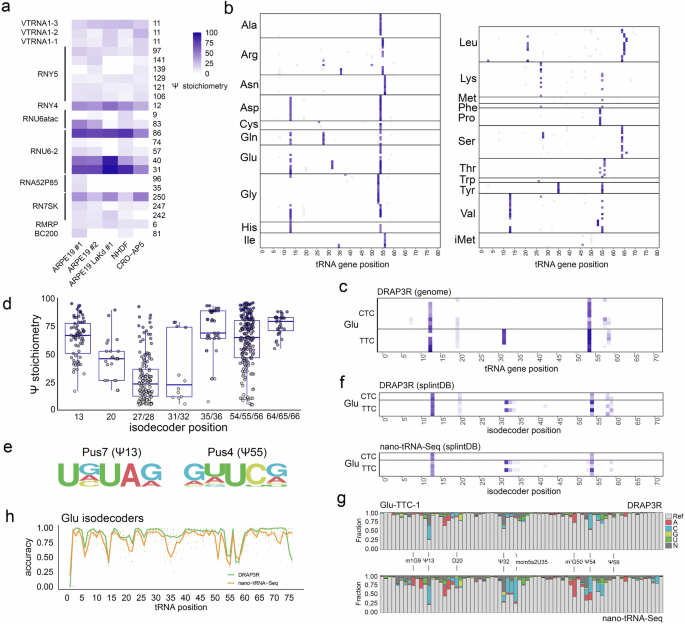 Fig. 5: Ψ profiles across the pre-mature Pol III transcriptome.