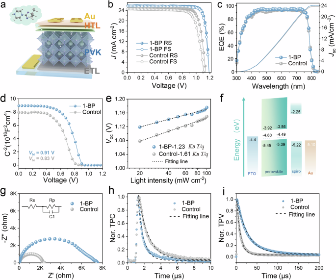 Fig. 3: Photovoltaic performance of 1-BP engineered devices.