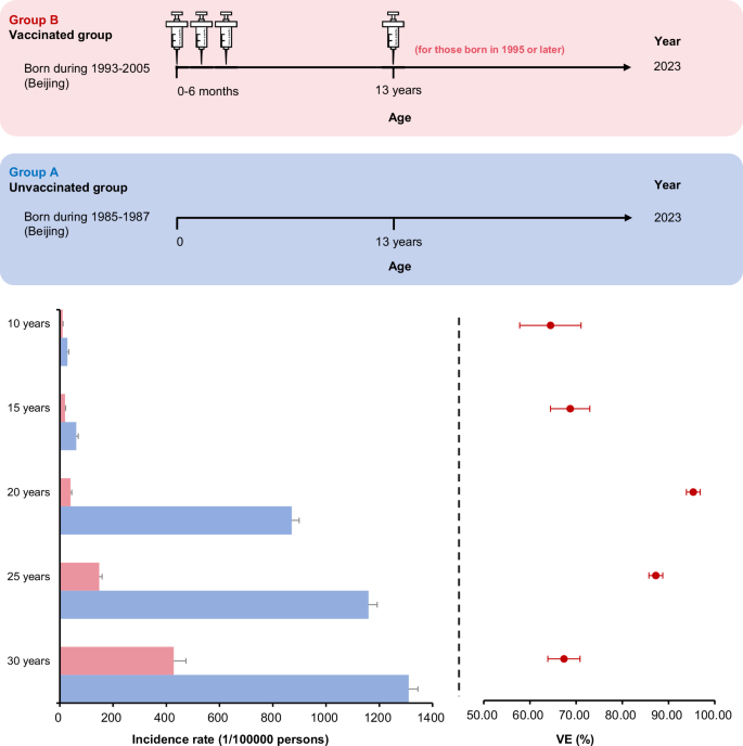 Fig. 2: Hepatitis B incidence rates among the vaccinated and unvaccinated groups and effectiveness of hepatitis B vaccine at different periods in Beijing.