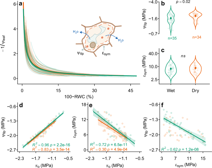 Fig. 1: Functional convergence and coordination of leaf drought tolerance across 69 species between wet and dry (sub)tropical forests.
